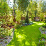 How to Create a Picture-Perfect Backyard