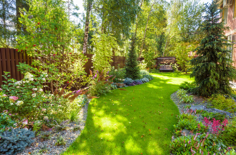 How to Create a Picture-Perfect Backyard